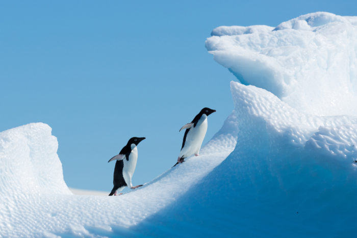 Antarctica Cruise